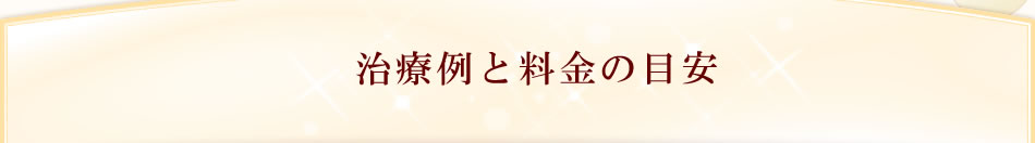 治療例と料金の目安